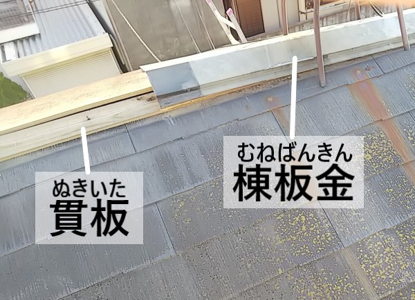 棟板金と貫板　台風被害